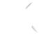 نور-النجوم-White-logo